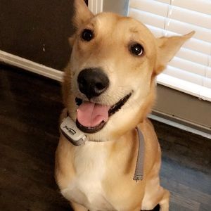 Meet your Posher, Marie